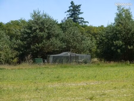 propriété de chasse