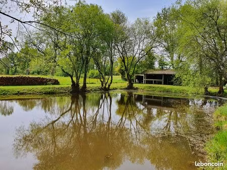 ?️ vente étangs - havre de paix en pleine nature ?