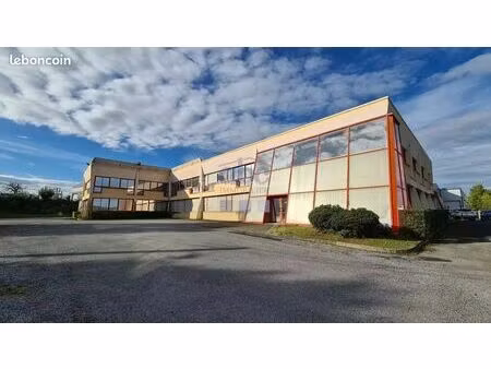 bureaux 1063 m² albi