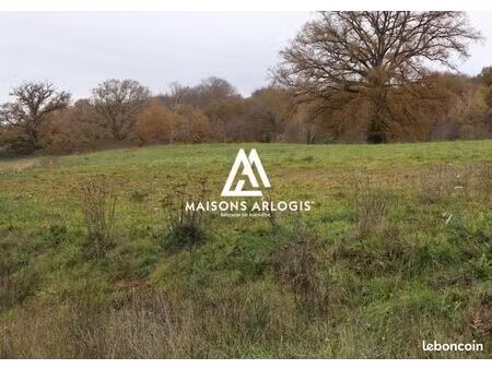 terrain 705 m² le palais sur vienne