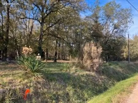 opportunité rare – terrain à bâtir calme avec bois attenant