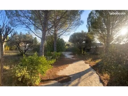 terrain constructible