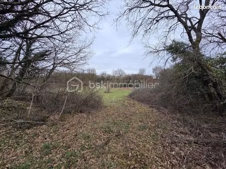 terrain 6 260 m² blanzay