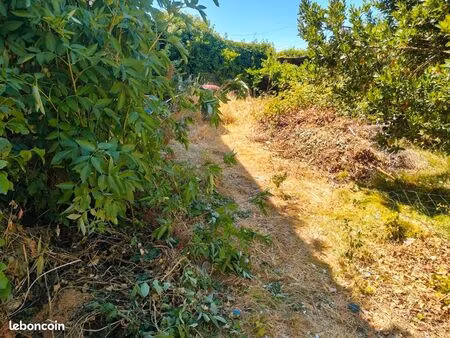 terrain constructible