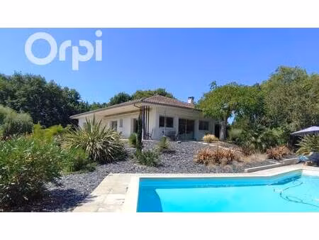 peyrehorade immobilier