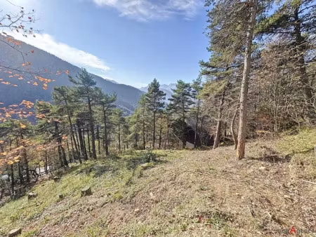 vente terrain 670 m² à château-bernard (38650)  50 000 €