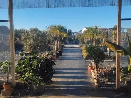 terrain huelva andalousie