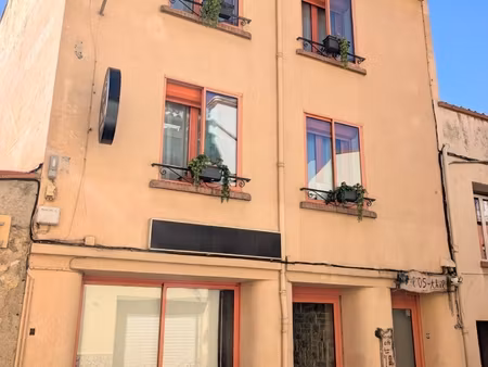 vente immeuble 240 m²