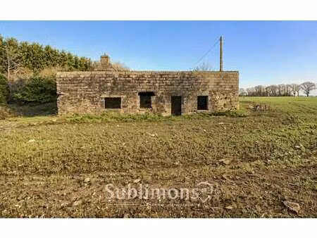 vente maison à languidic (56440) : à vendre / 100m² languidic