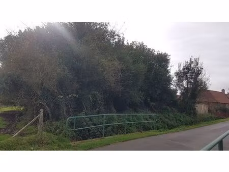 terrain à bâir ref 5