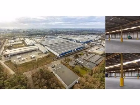 surface industrielle à louer à industriepark-west 42 sint-niklaas (rbu89158)