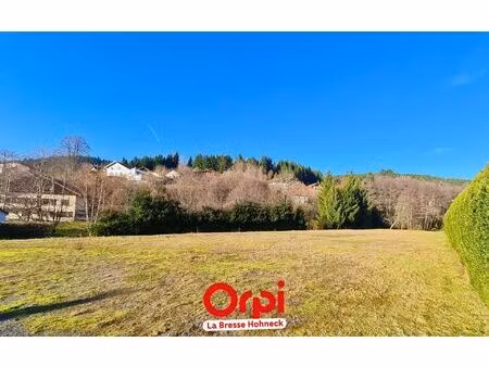 terrain xonrupt-longemer m² t- à vendre  99 000 €