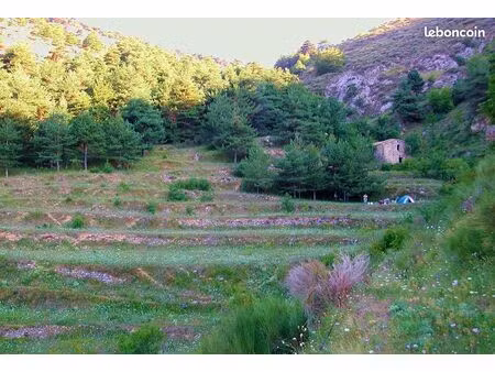 vente terrain et bergerie