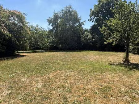 vente terrain à orvault (44700) : à vendre / 554m² orvault