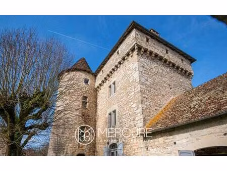 château à vendre