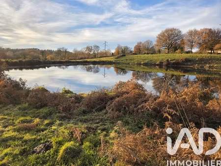 vente terrain 41 275 m²