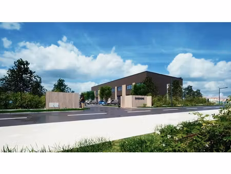 locaux d'activites a vendre