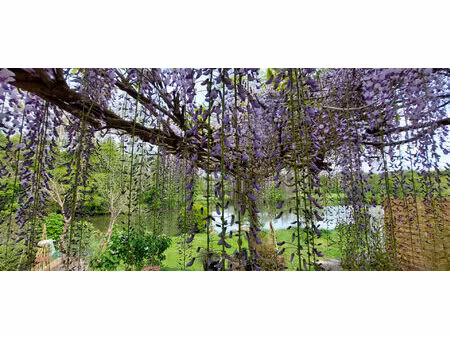 maison conflandey 4 pièce(s) 180 m2 en bord de saône