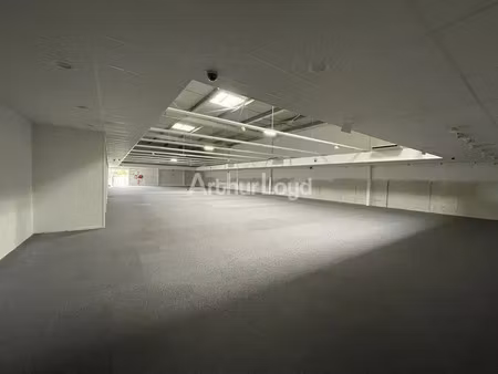 local commercial a louer