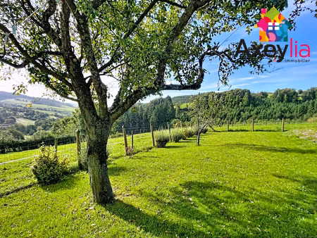 a vendre - 10min de cublize - propriété avec maison d'habitation  grange  dépendances dive