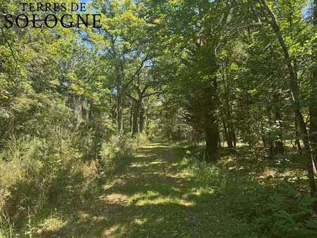 propriété à ligny-le-ribault