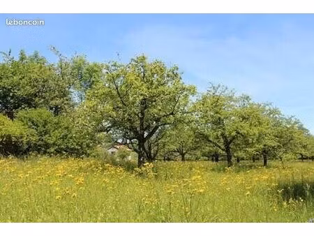 achat terrain agricole ou boisé