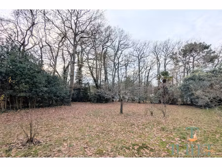 annonce terrain à vendre