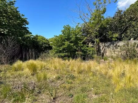 vente terrain 1000 m² lugos (33830)