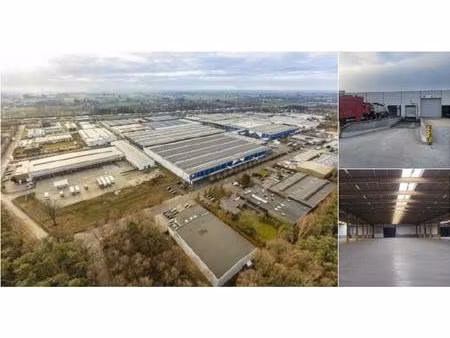 surface industrielle à louer à industriepark-west 42 sint-niklaas (rbu89156)