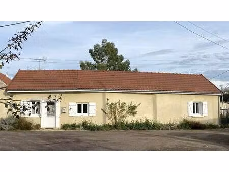 maison de plain-pied à vendre