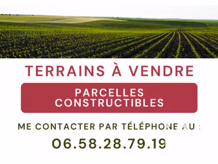 vente terrain à narbonne (11100) : à vendre / 5997m² narbonne
