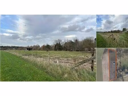 terrain agricole à vendre à roggestraat lommel (rbu89103)