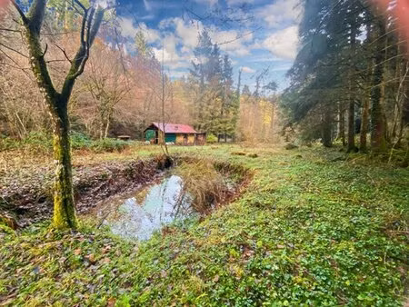 en vente terrain constructible 31 97 ares – 57 000 € |willer-sur-thur