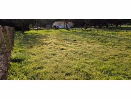 vente terrain à saint-hilaire-de-riez (85270) : à vendre / 1084m² saint-hilaire-de-riez