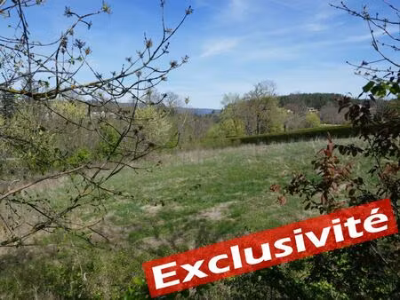 vente terrain 1972 m² beauzac (43590)