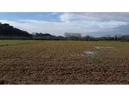 terrain agricole