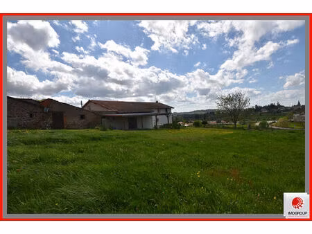 vente maison 7 pièces 210 m² saint-martin-d'estréaux (42620)