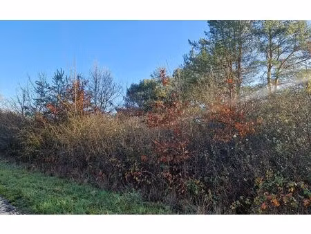 terrain châtillon-sur-cher m² t- à vendre  9 500 €