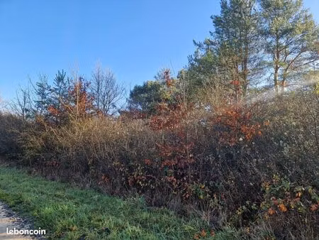 terrain agricole 9 590 m² chatillon sur cher