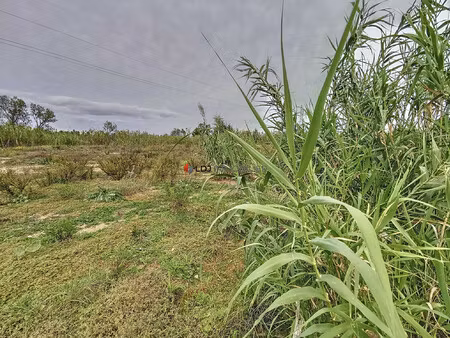 achat terrain 9 613m² villeneuve de la raho 66180