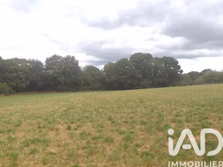 vente terrain 1420 m² à royères (87400)  37 500 €