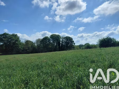 vente terrain 1190 m² royères (87400)