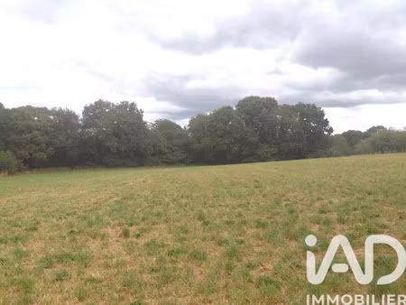 vente terrain 1420 m² royères (87400)