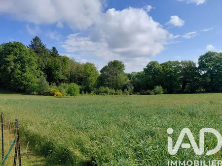 vente terrain 1500 m² royères (87400)