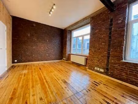 bel appart 1 ch - proximité canal