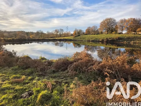 vente terrain 41275 m² à le buis (87140)  59 900 €