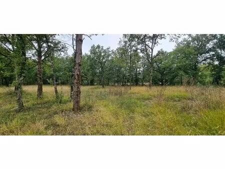 terrain constructible