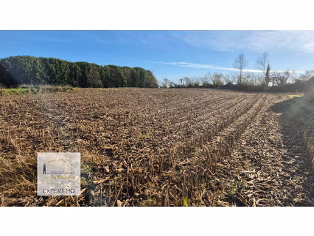 tourch terrain constructible de 650 m2