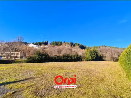 vente terrain à batir 1000 m² à xonrupt-longemer (88400)  99 000 €