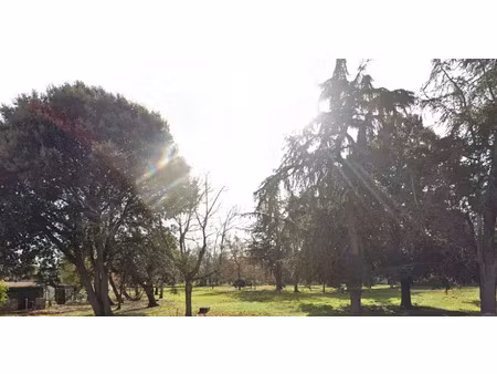 vente terrain 1205 m² à longages (31410)  96 000 €